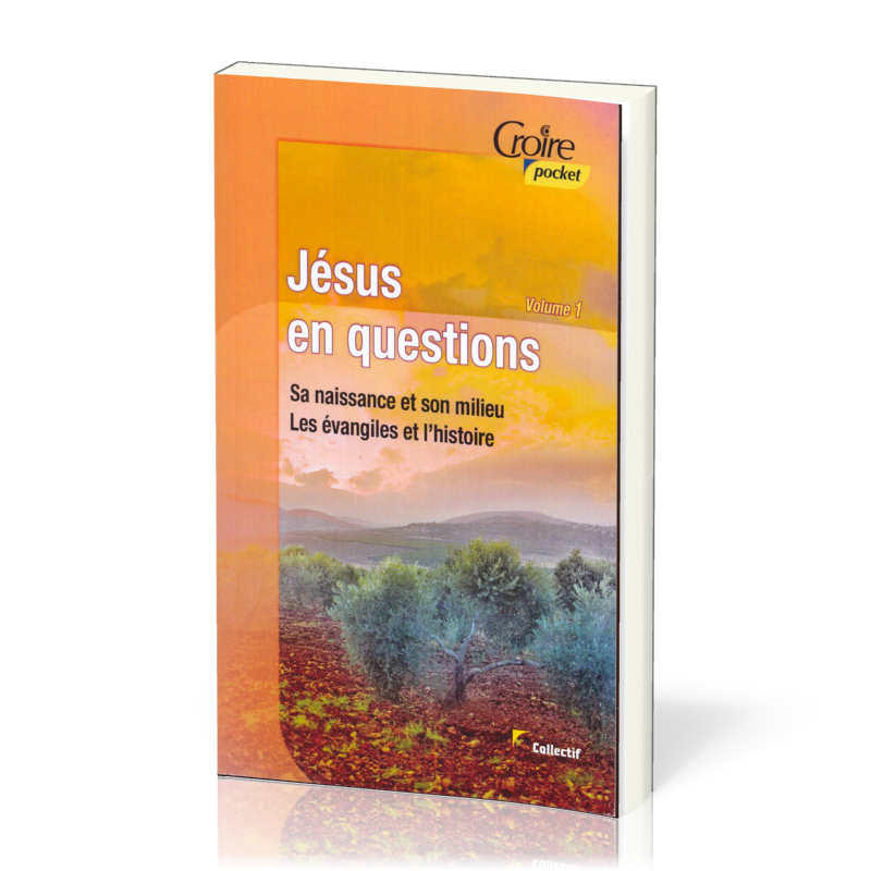 JESUS EN QUESTIONS VOL. 1 - SA NAISSANCE ET SON MILIEU. LES ÉVANGILES ET L'HISTOIRE