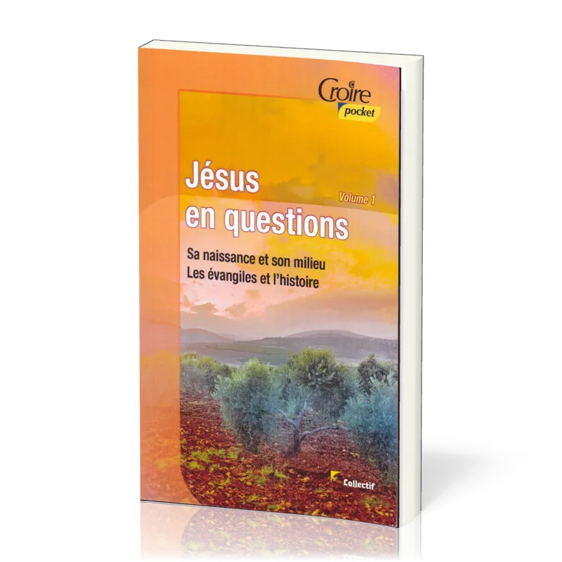 JESUS EN QUESTIONS VOL. 1 - SA NAISSANCE ET SON MILIEU. LES ÉVANGILES ET L'HISTOIRE