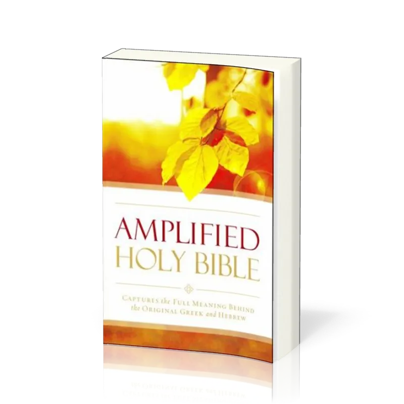 ANGLAIS BIBLE AMPLIFIED OUTREACH BIBLE