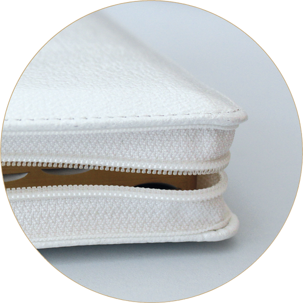 BIBLE SEGOND 1910 GROS CARACTERES SOUPLE CUIR TR. OR ONGLETS BLANC FERMETURE ECLAIR COFFRET