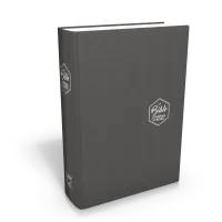 BIBLE SEGOND 21 JOURNAL DE BORD RIGIDE TOILEE GRISE