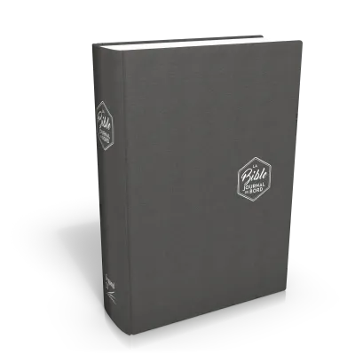 BIBLE SEGOND 21 JOURNAL DE BORD RIGIDE TOILEE GRISE