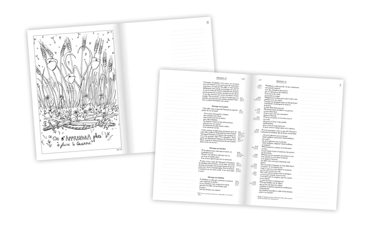 BIBLE SEGOND 21 JOURNAL DE BORD RIGIDE TOILEE GRISE