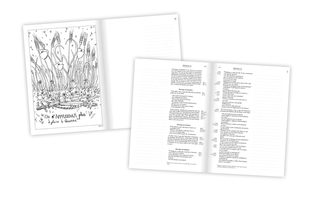 BIBLE SEGOND 21 JOURNAL DE BORD COUVERTURE SOUPLE CUIR VERITABLE NOIR