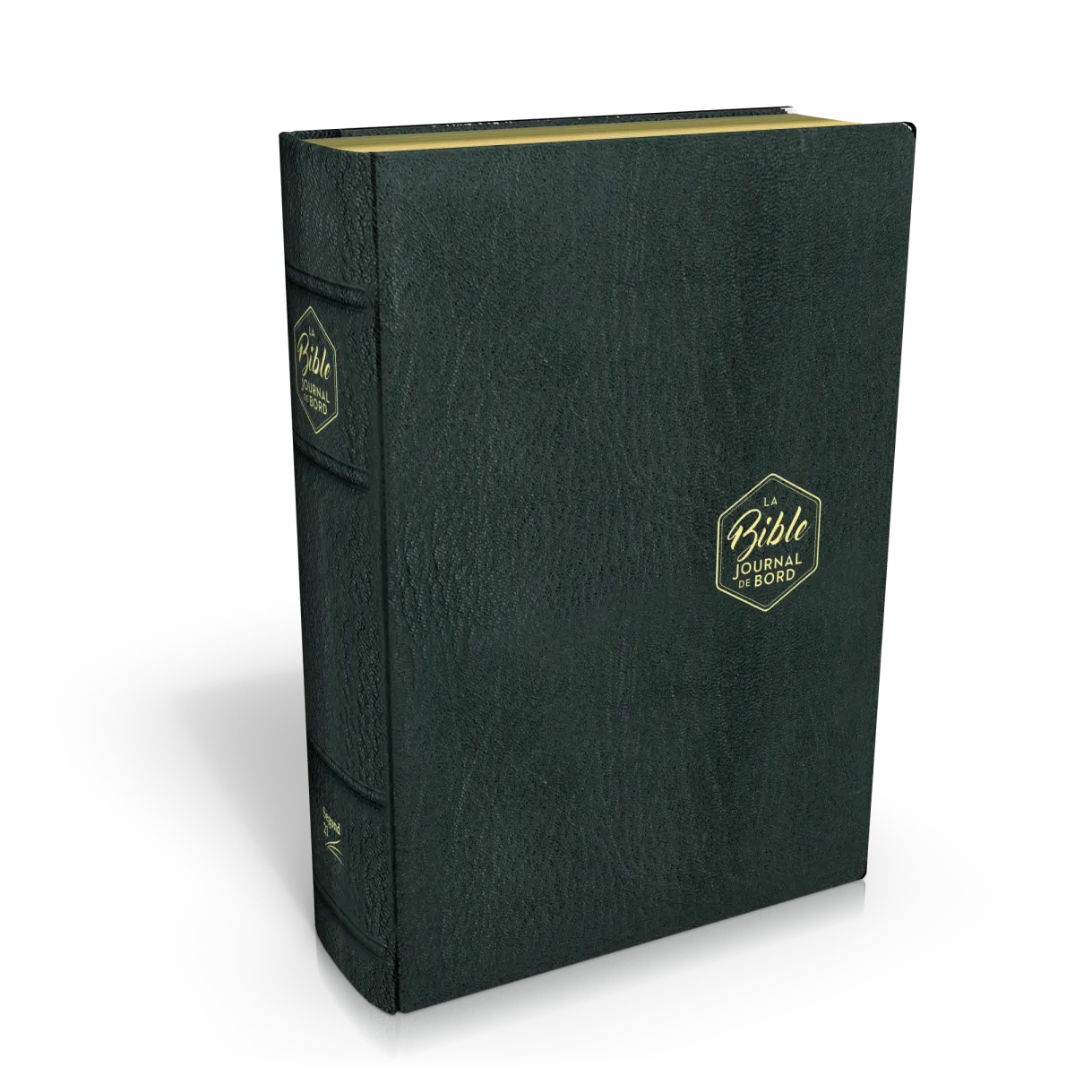 BIBLE SEGOND 21 JOURNAL DE BORD COUVERTURE SOUPLE CUIR VERITABLE NOIR