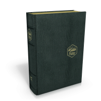 BIBLE SEGOND 21 JOURNAL DE BORD COUVERTURE SOUPLE CUIR VERITABLE NOIR