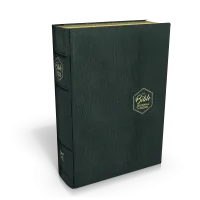 BIBLE SEGOND 21 JOURNAL DE BORD COUVERTURE SOUPLE CUIR VERITABLE NOIR