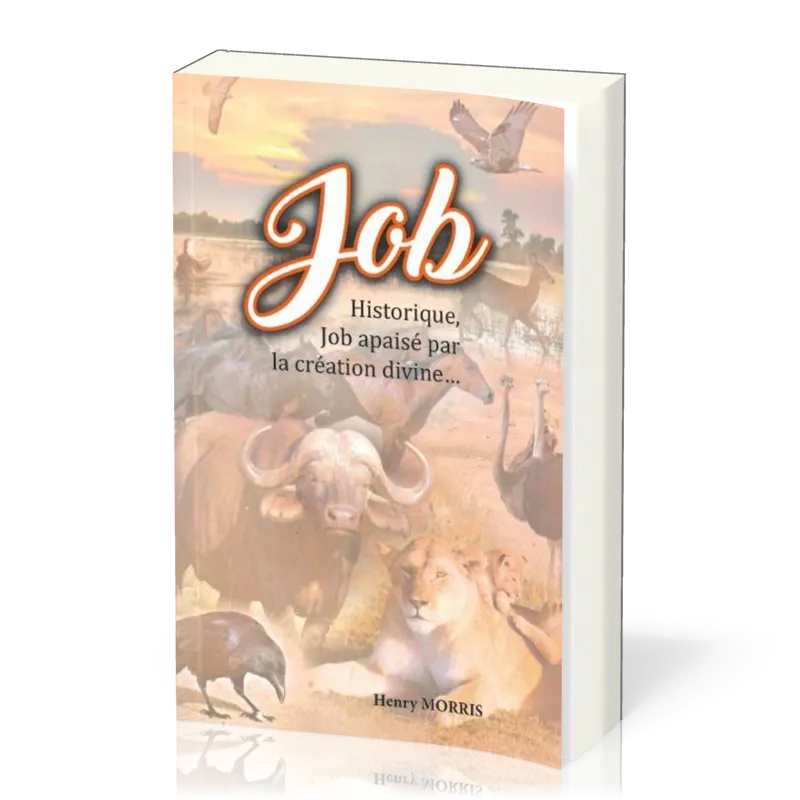 JOB - HISTORIQUE, JOB APAISE PAR LA CREATION DIVINE