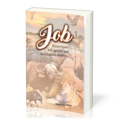 JOB - HISTORIQUE, JOB APAISE PAR LA CREATION DIVINE