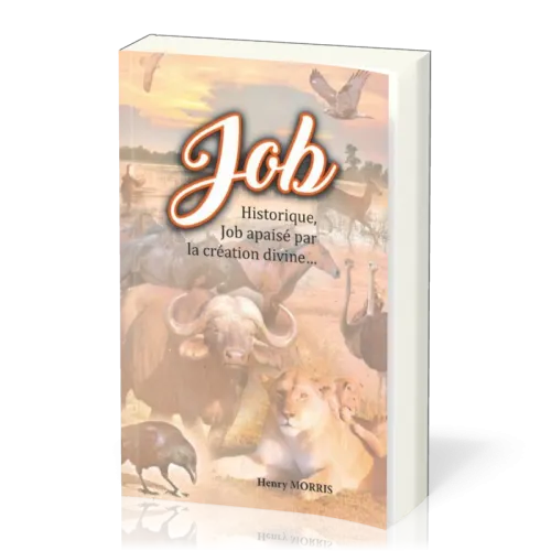 JOB - HISTORIQUE, JOB APAISE PAR LA CREATION DIVINE