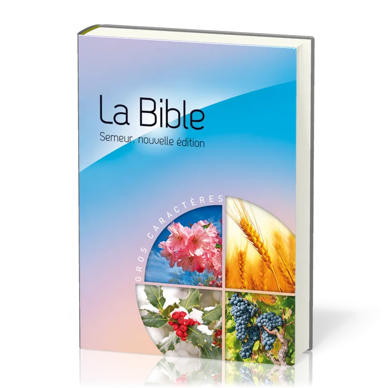 BIBLE SEMEUR 2015 GROS CARACTERE RIGIDE BLEUE ET ROSE ILLUSTREE