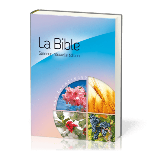 BIBLE SEMEUR 2015 GROS CARACTERE RIGIDE BLEUE ET ROSE ILLUSTREE