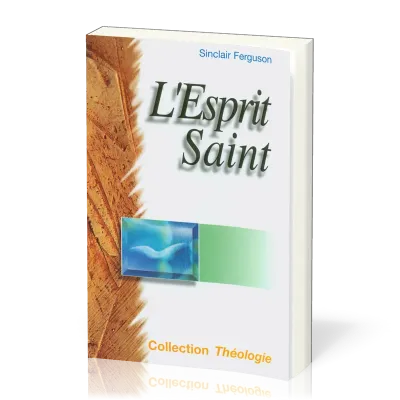 ESPRIT SAINT (L')