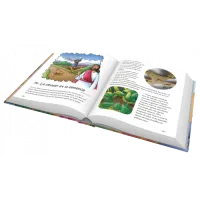 100 HISTOIRES FAVORITES DE LA BIBLE (LES)