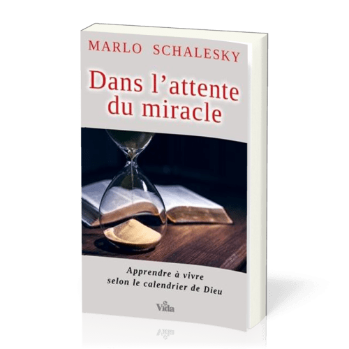 DANS L'ATTENTE DU MIRACLE - APPRENDRE A VIVRE SELON LE CALENDRIER DE DIEU