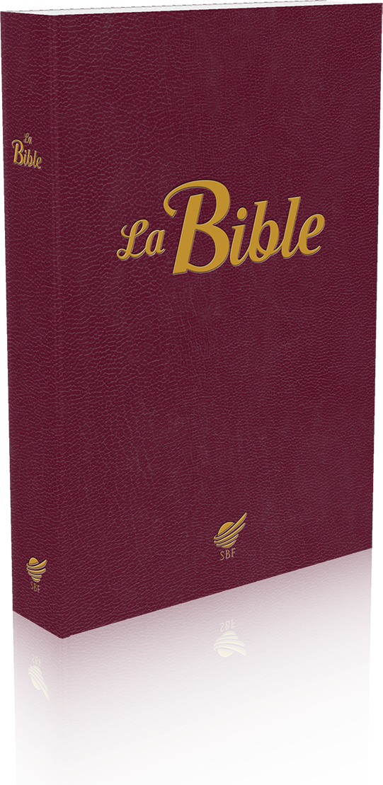 BIBLE SEGOND 1910 VIE PAROLES DE JESUS EN ROUGE SOUPLE GRENAT NOUVELLE EDITION