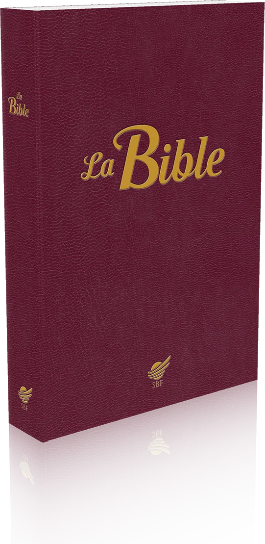 BIBLE SEGOND 1910 VIE PAROLES DE JESUS EN ROUGE SOUPLE GRENAT NOUVELLE EDITION