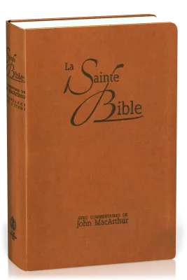BIBLE NEG MACARTHUR SOUPLE MARRON VIVELLA ONGLETS