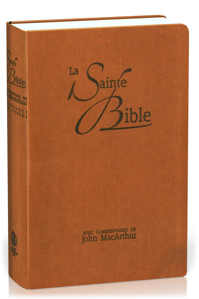 BIBLE NEG MACARTHUR SOUPLE SIMILICUIR BRUN