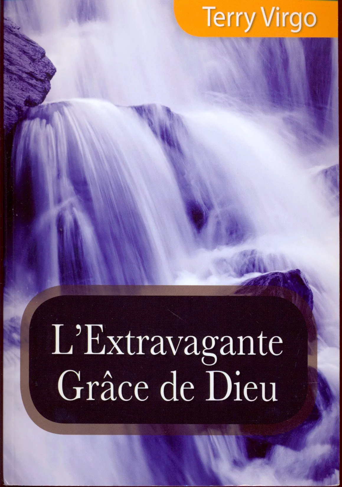 EXTRAVAGANTE GRACE DE DIEU (L')