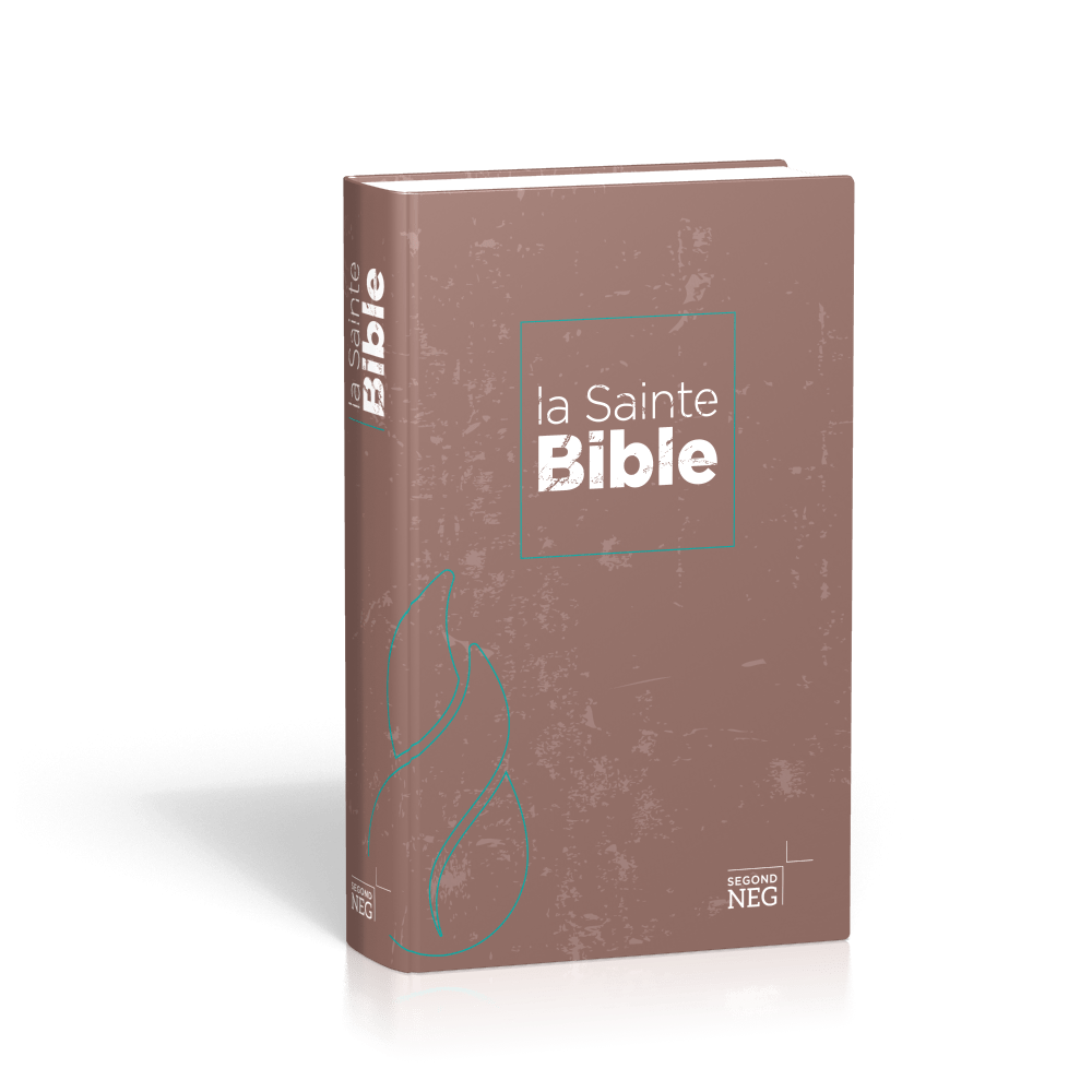 BIBLE NEG COMPACTE RIGIDE ILLUSTREE