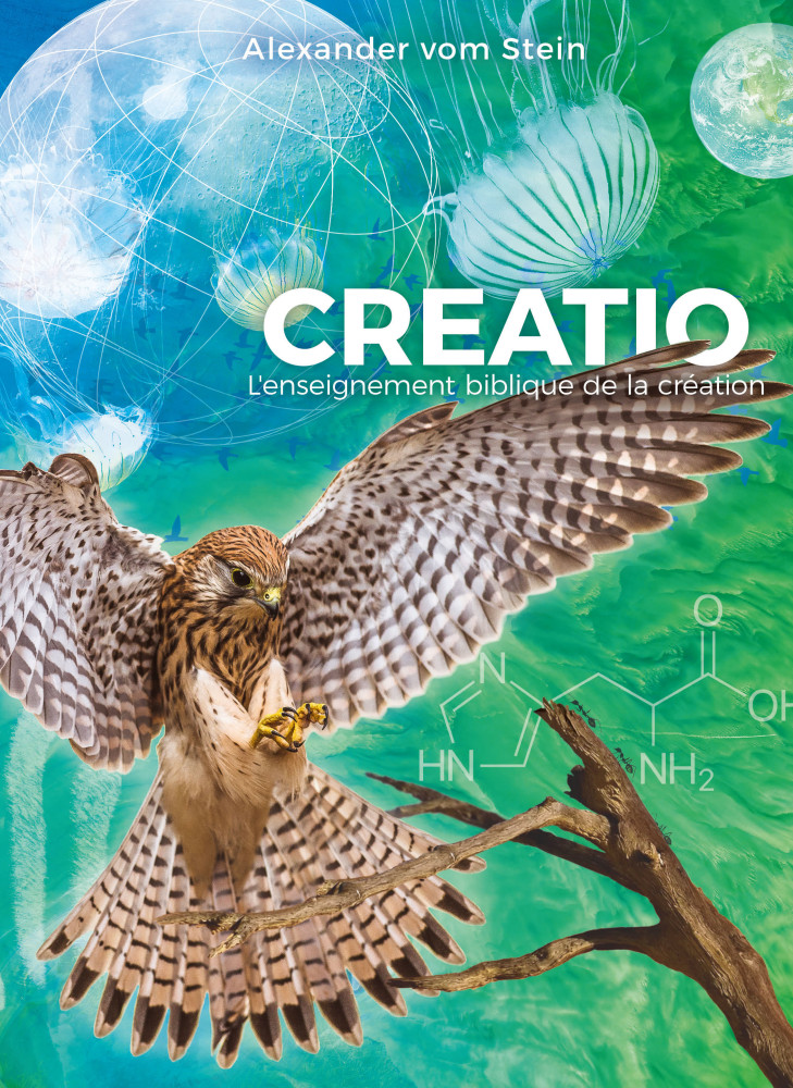 CREATIO - L'ENSEIGNEMENT BIBLIQUE DE LA CREATION