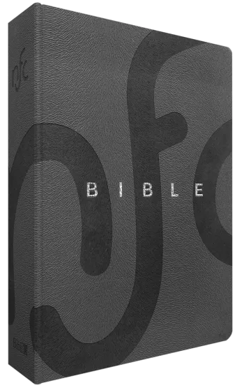BIBLE NOUVELLE FR. COURANT SOUPLE LUXE SIMILICUIR GRIS TRANCHE ARGENT SANS DEUTEROCANONIQUE