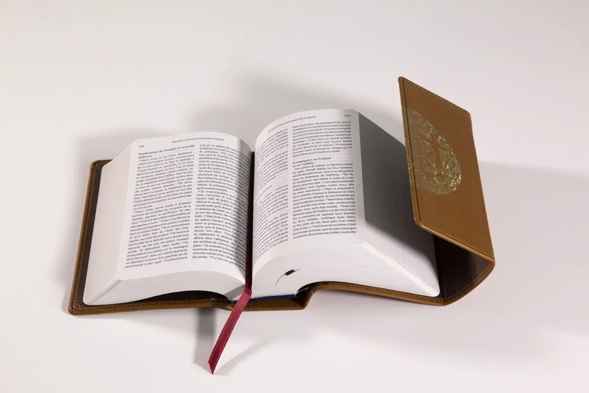 BIBLE NTOL EDITION VOYAGE