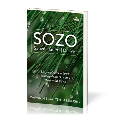 SOZO - SAUVE | GUERI | DELIVRE