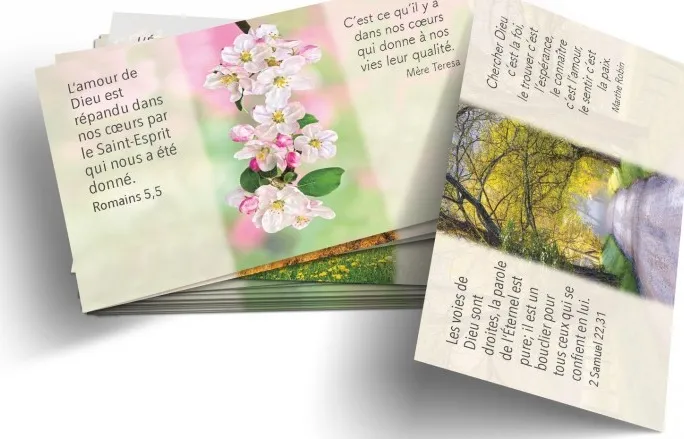 LOT DE 100 MINI-CARTES TEXTES BIBLLIQUES : SOURCE DE VIE