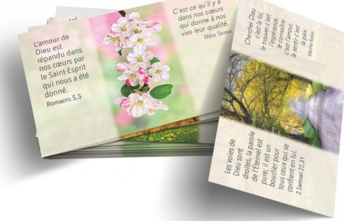 LOT DE 100 MINI-CARTES TEXTES BIBLLIQUES : SOURCE DE VIE