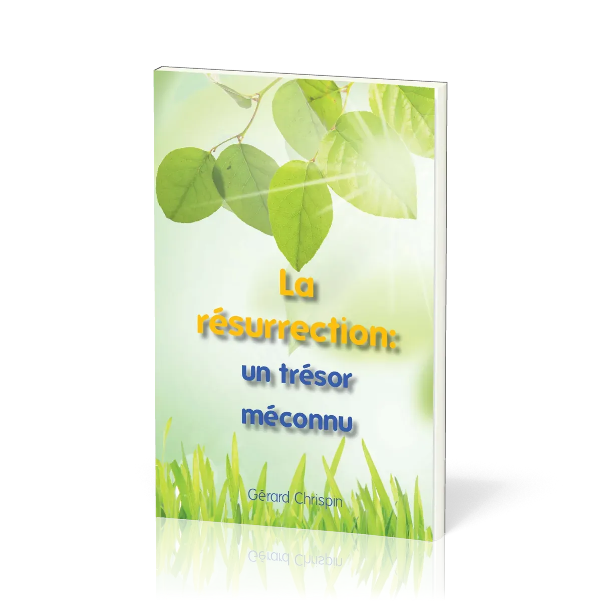 RESURRECTION UN TRESOR MECONNU (LA)