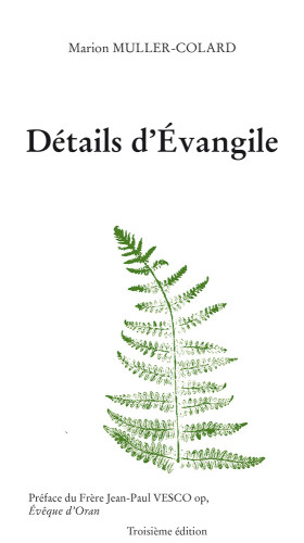 DETAILS D'EVANGILE - 3EME EDITION