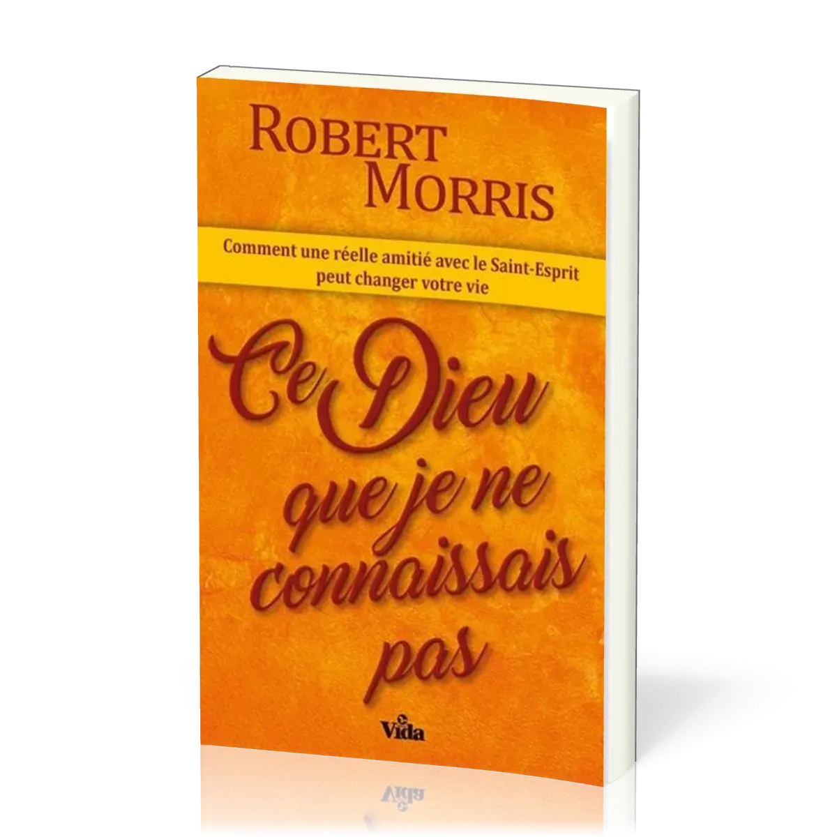 CE DIEU QUE JE NE CONNAISSAIS PAS - COMMENT UNE REELLE AMITIE AVEC LE ST ESPRIT PEUT CHANGER VOTRE