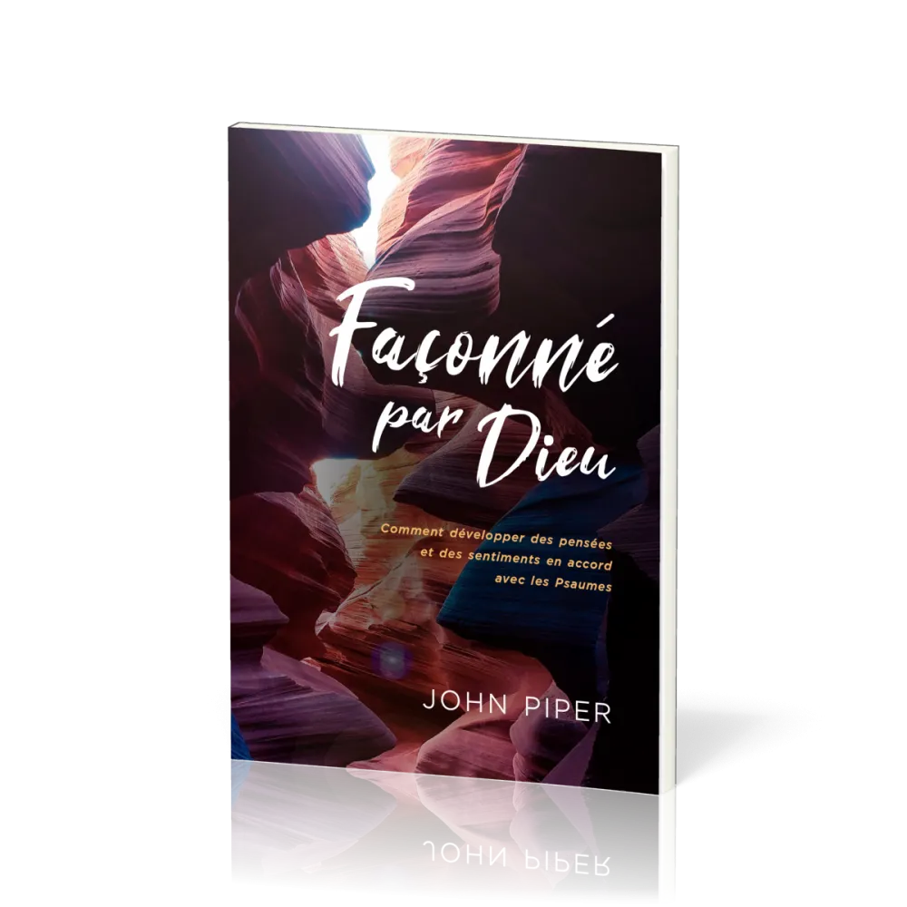 FACONNE PAR DIEU - COMMENT DEVELOPPER DES PENSEES ET DES SENTIMENTS EN ACCORD AVEC LES PSAUMES