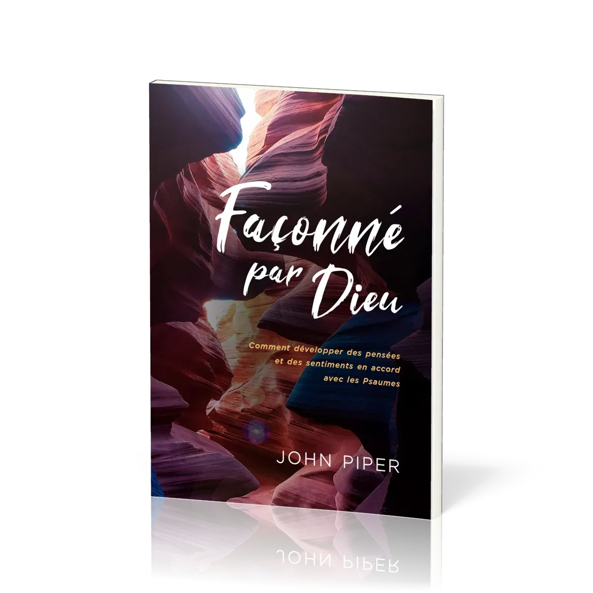 FACONNE PAR DIEU - COMMENT DEVELOPPER DES PENSEES ET DES SENTIMENTS EN ACCORD AVEC LES PSAUMES