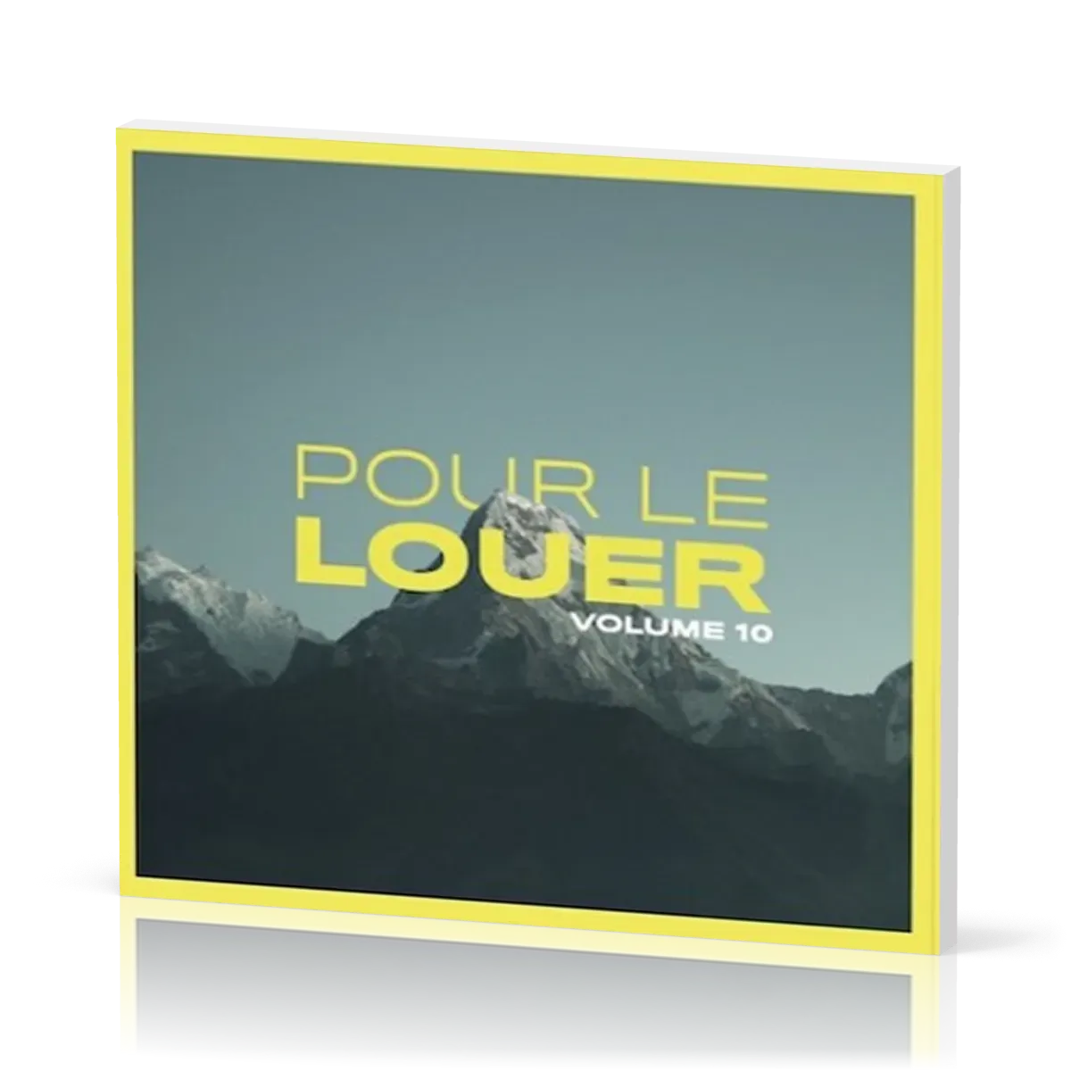 POUR LE LOUER - VOL 10 CD