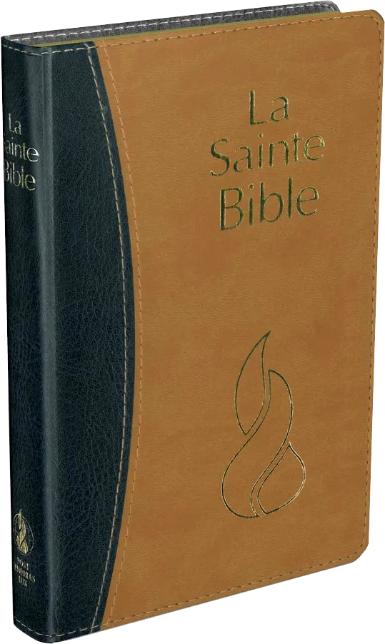 BIBLE NEG FIBRO VELOUR COMPACT TR. OR DUO OCRE/NOIR