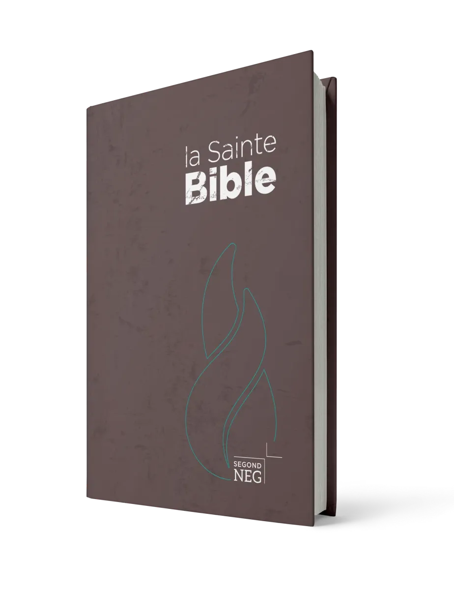 BIBLE NEG COMPACTE RIGIDE BRUNE