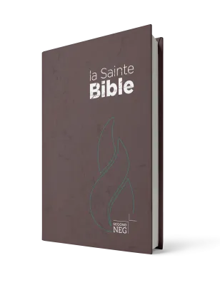 BIBLE NEG COMPACTE RIGIDE BRUNE