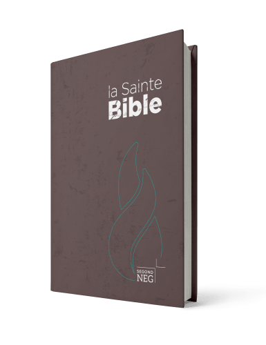 BIBLE NEG COMPACTE RIGIDE BRUNE