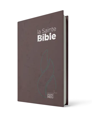 BIBLE NEG COMPACTE RIGIDE BRUNE