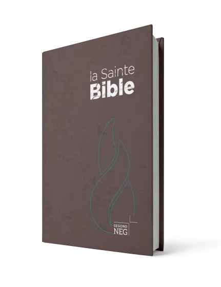 BIBLE NEG COMPACTE RIGIDE BRUNE