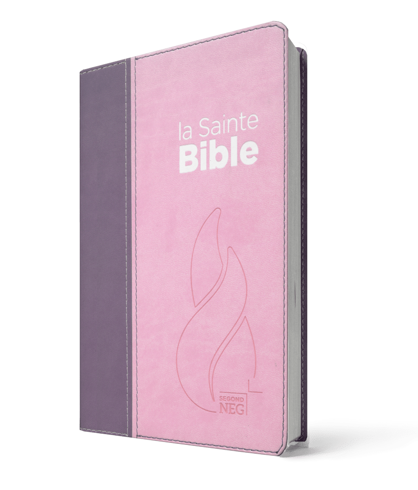 BIBLE NEG COMPACTE SOUPLE VIVELLA DUO ROSE PRALINE VIOLET FRUITS DES BOIS