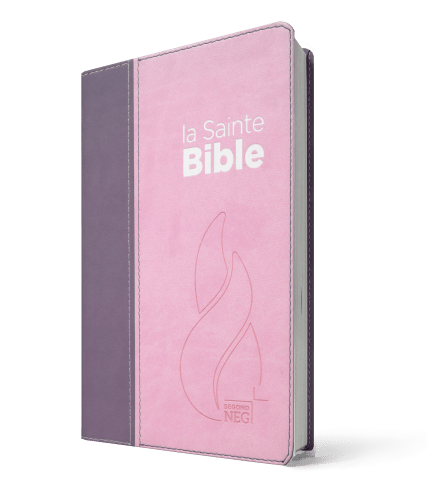 BIBLE NEG COMPACTE SOUPLE VIVELLA DUO ROSE PRALINE / VIOLET FRUITS DES BOIS