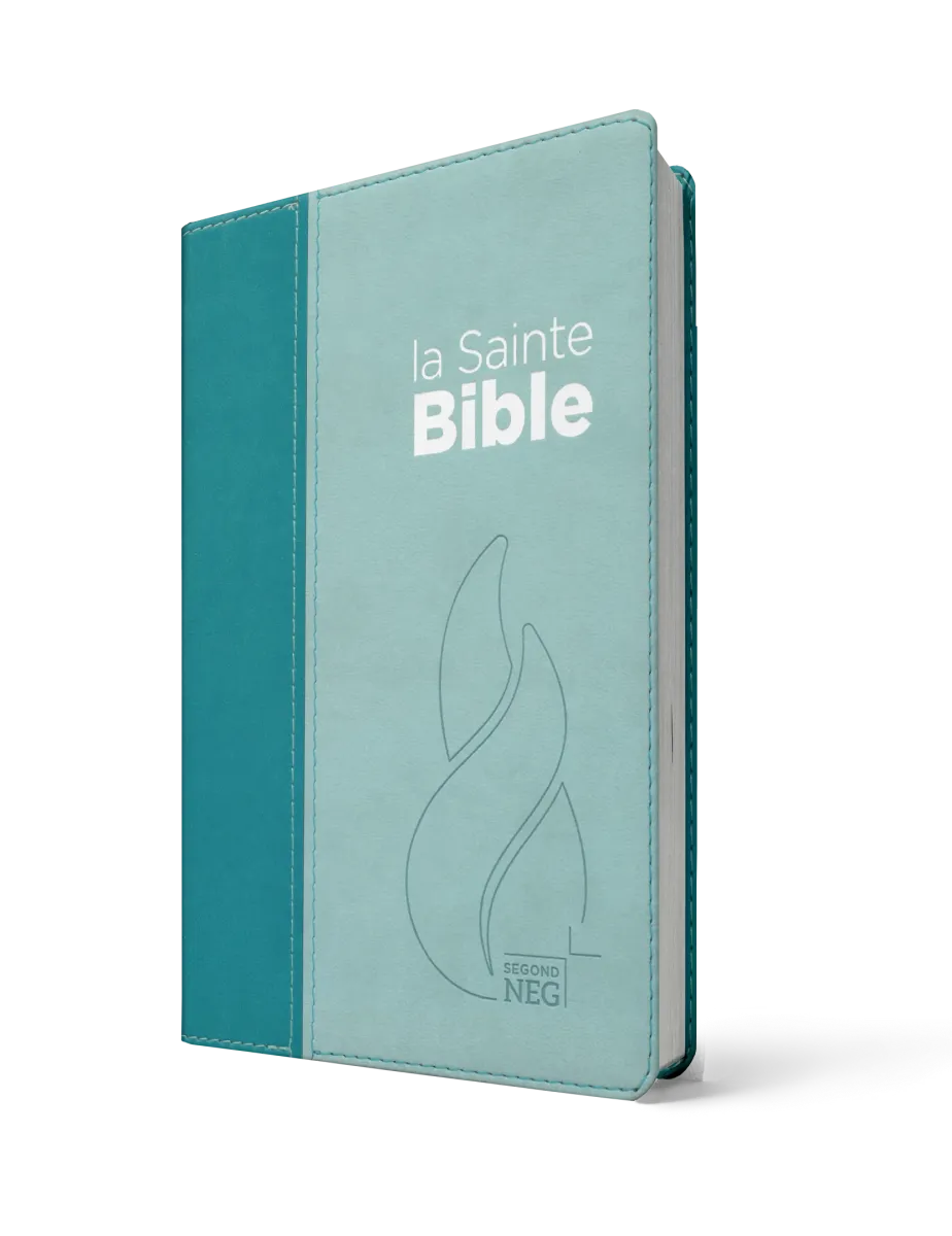 BIBLE NEG COMPACTE SOUPLE VIVELLA DUO BLEU LAGON BLEU CIEL
