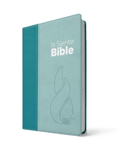 BIBLE NEG COMPACTE SOUPLE VIVELLA DUO BLEU LAGON BLEU CIEL