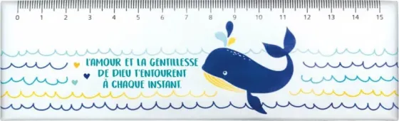 REGLE MAGNETIQUE BALEINE