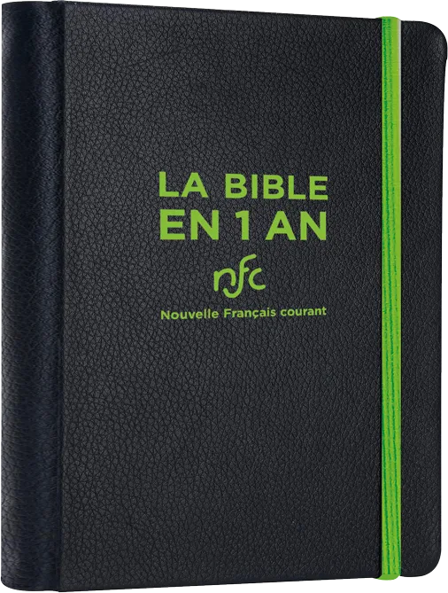 BIBLE EN 1 AN NOUVELLE FR. COURANT RELIURE SOUPLE SIMILICUIR SANS DEUTEROCANONIQUE (LA)