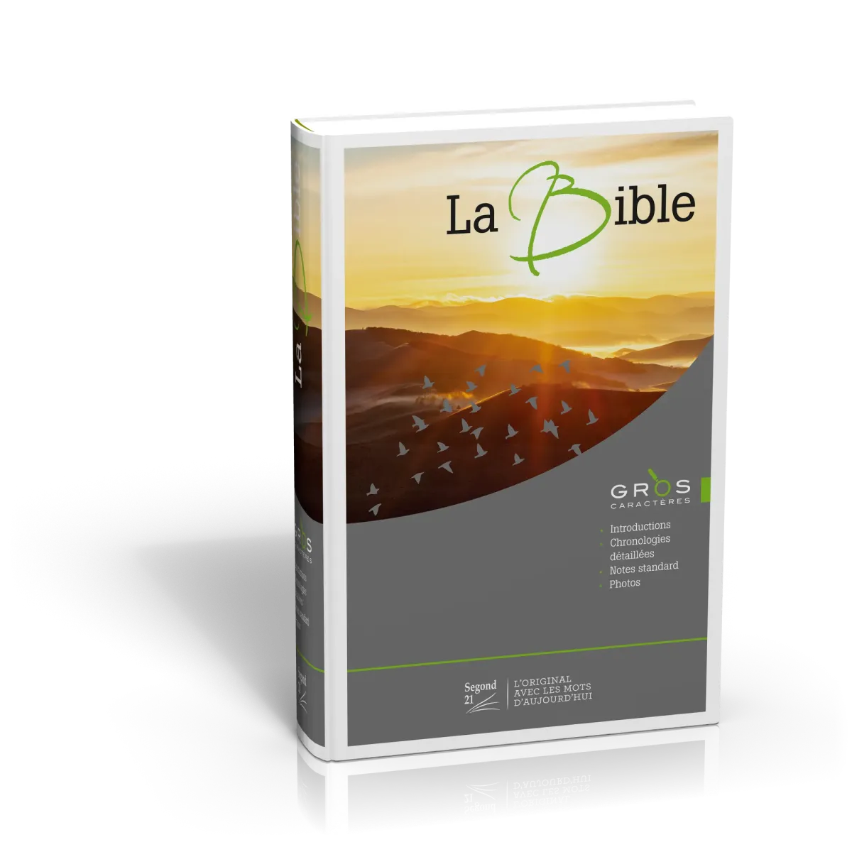 BIBLE SEGOND 21 GROS CARACTERES RIGIDE ILLUSTREE